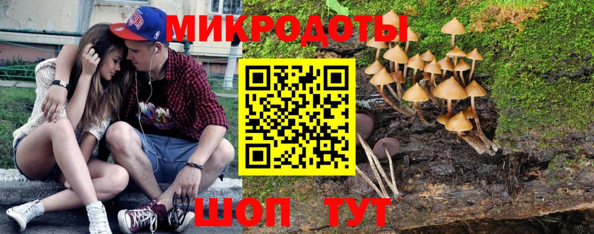 Галлюциногенные грибы мицелий Камень-на-Оби