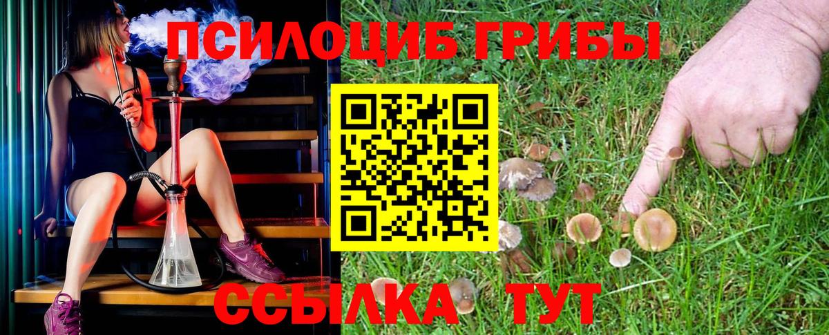 Псилоцибиновые грибы MAGIC MUSHROOMS  Галлюциногенные грибы Magic Shrooms  Вход с VPN  даркнет сайт  Камень-на-Оби 