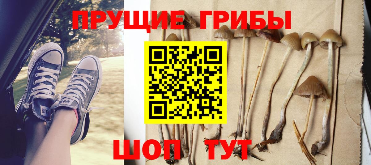Псилоцибиновые грибы Камень-на-Оби